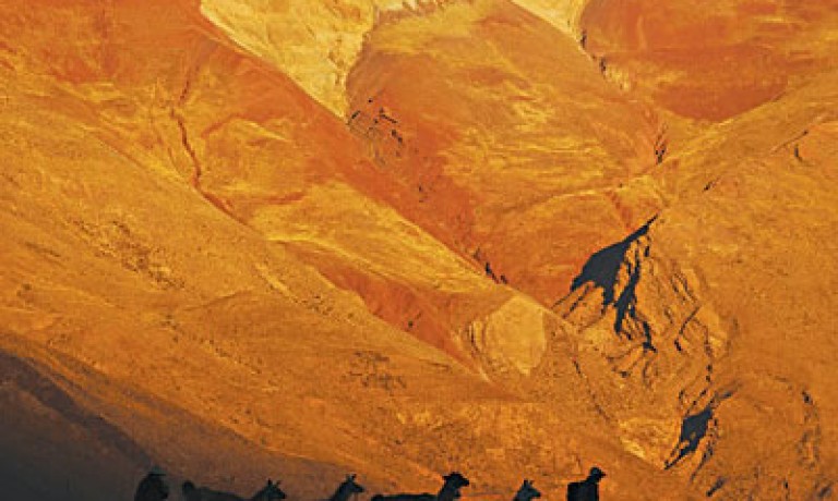 Transfer Aeropuertos Jujuy / Salta – Posada con los Angeles